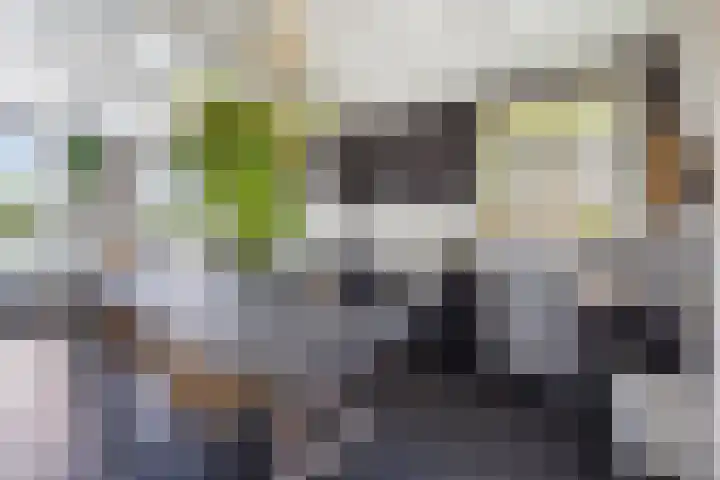 Blauwe Sluis 16 Appeltern thumbnail 21