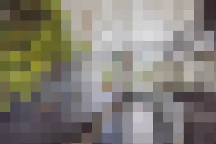 Blauwe Sluis 16 Appeltern thumbnail 22