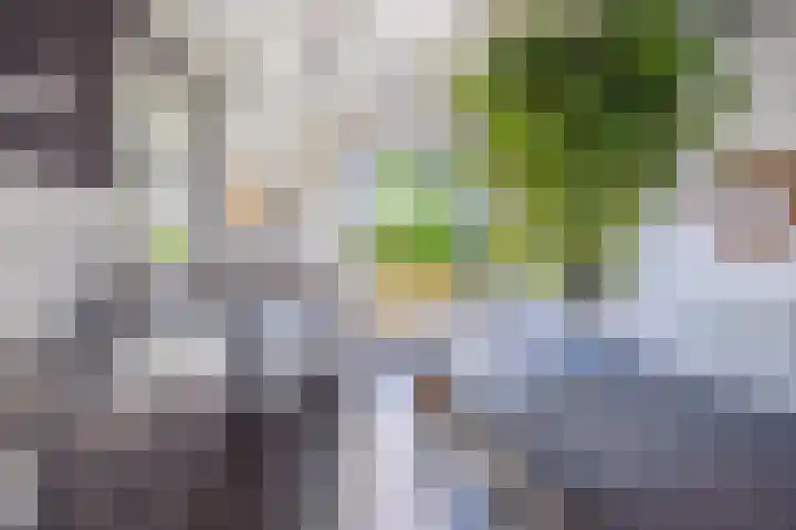 Blauwe Sluis 16 Appeltern thumbnail 23