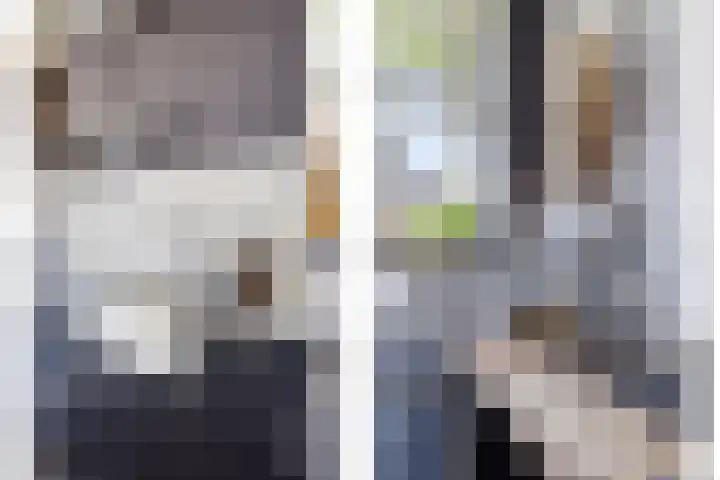 Blauwe Sluis 16 Appeltern thumbnail 24