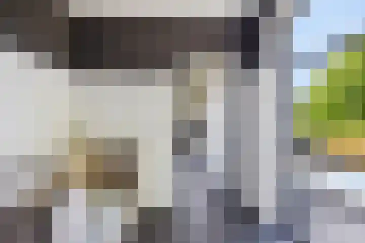 Blauwe Sluis 16 Appeltern thumbnail 25