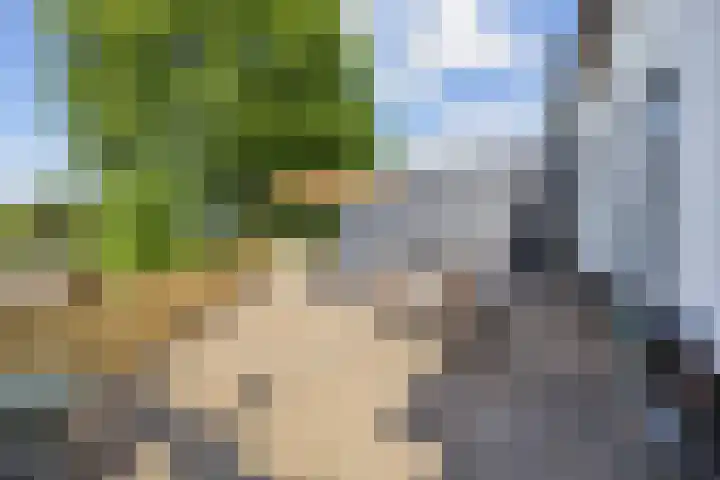 Blauwe Sluis 16 Appeltern thumbnail 26