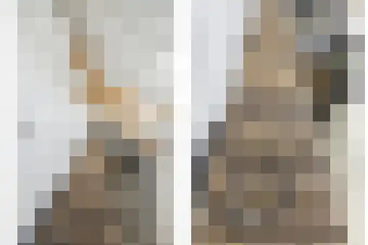 Blauwe Sluis 16 Appeltern thumbnail 31