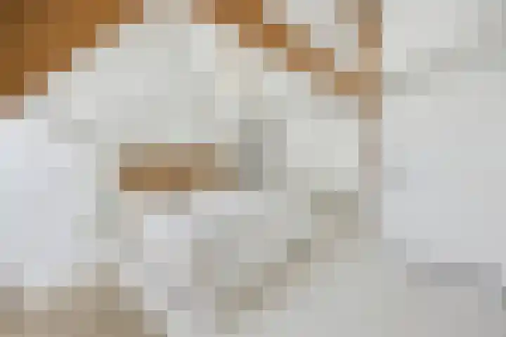 Blauwe Sluis 16 Appeltern thumbnail 33