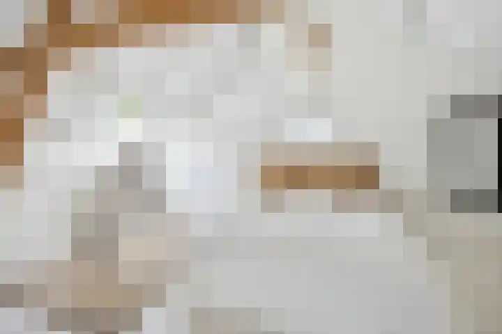 Blauwe Sluis 16 Appeltern thumbnail 34