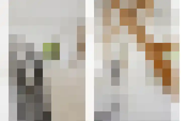 Blauwe Sluis 16 Appeltern thumbnail 39