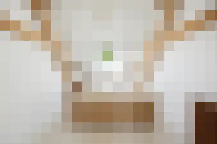 Blauwe Sluis 16 Appeltern thumbnail 40