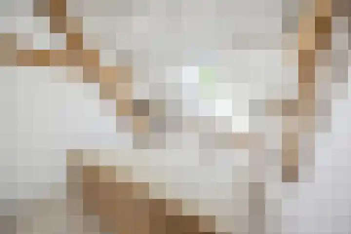 Blauwe Sluis 16 Appeltern thumbnail 42