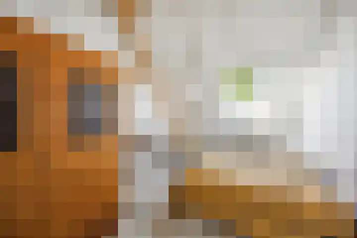 Blauwe Sluis 16 Appeltern thumbnail 43