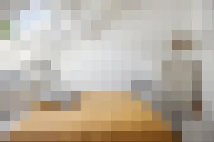 Blauwe Sluis 16 Appeltern thumbnail 44