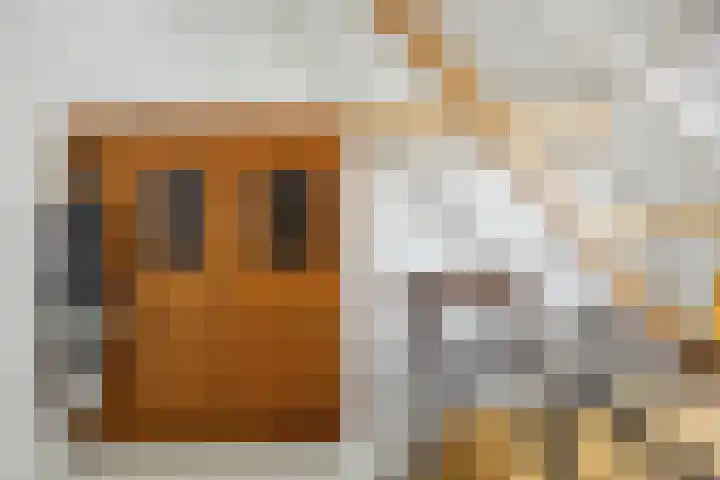 Blauwe Sluis 16 Appeltern thumbnail 45