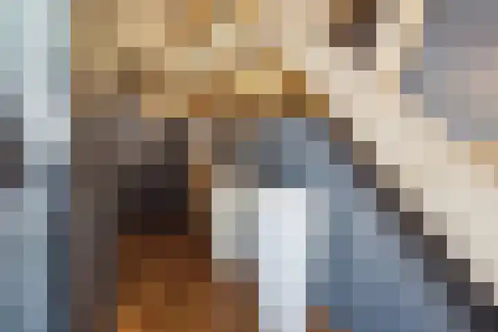 Blauwe Sluis 16 Appeltern thumbnail 47