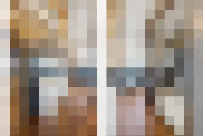 Blauwe Sluis 16 Appeltern thumbnail 48
