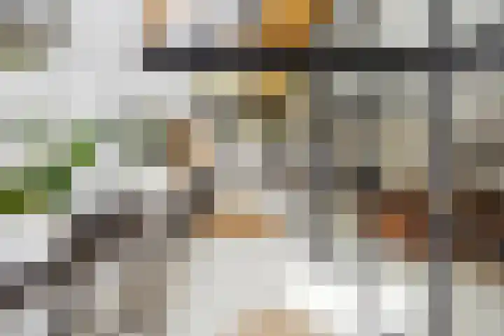 Blauwe Sluis 16 Appeltern thumbnail 5