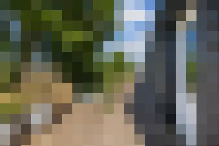 Blauwe Sluis 16 Appeltern thumbnail 51