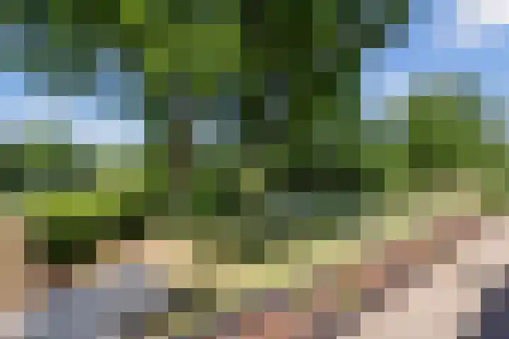 Blauwe Sluis 16 Appeltern thumbnail 52