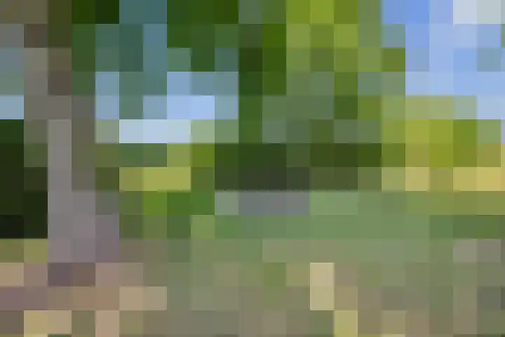 Blauwe Sluis 16 Appeltern thumbnail 53