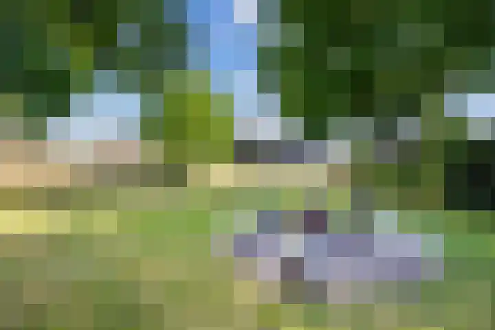 Blauwe Sluis 16 Appeltern thumbnail 54