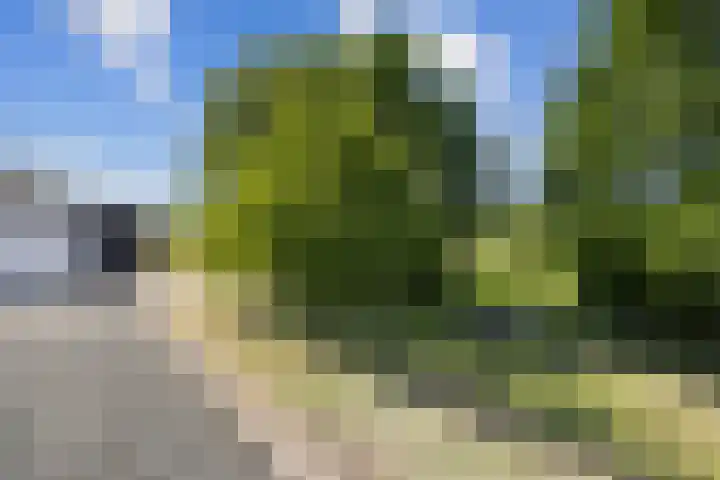 Blauwe Sluis 16 Appeltern thumbnail 55