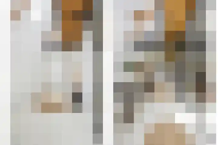 Blauwe Sluis 16 Appeltern thumbnail 6