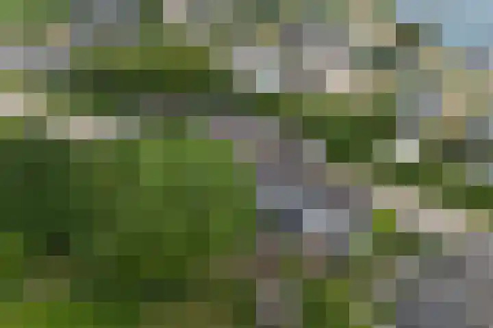Blauwe Sluis 16 Appeltern thumbnail 65