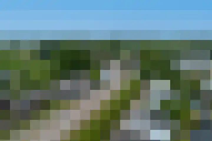 Blauwe Sluis 16 Appeltern thumbnail 66
