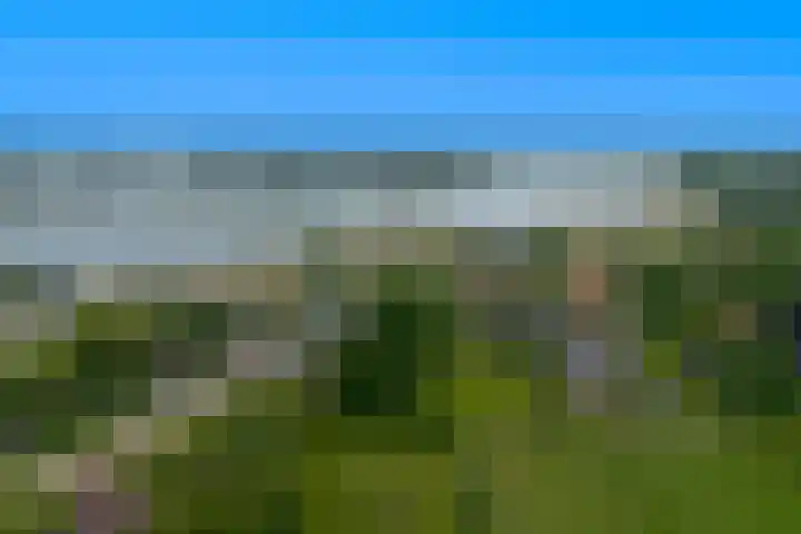 Blauwe Sluis 16 Appeltern thumbnail 67