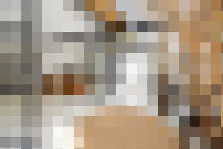 Blauwe Sluis 16 Appeltern thumbnail 7