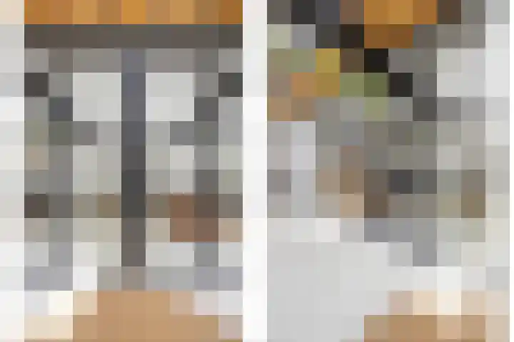 Blauwe Sluis 16 Appeltern thumbnail 8