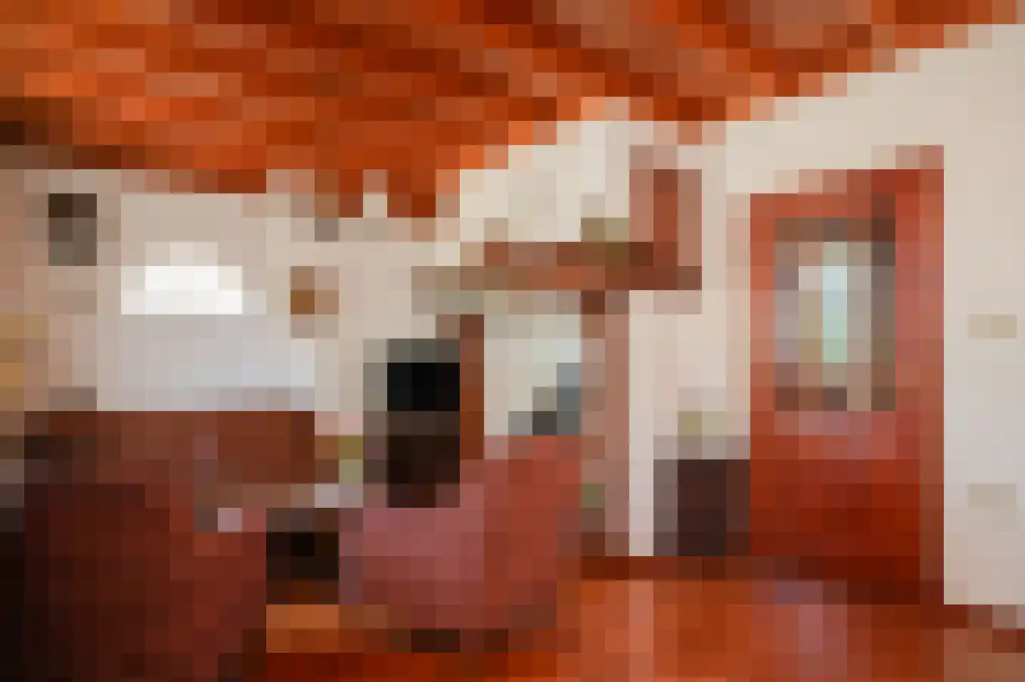 Blauwe Sluis 5 Appeltern thumbnail 10