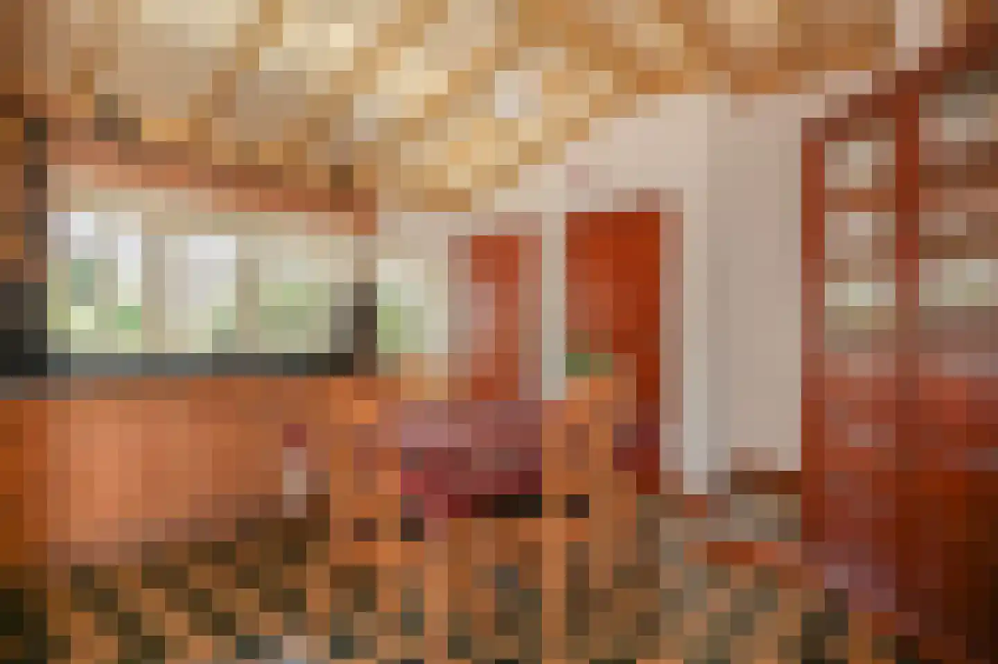 Blauwe Sluis 5 Appeltern thumbnail 13