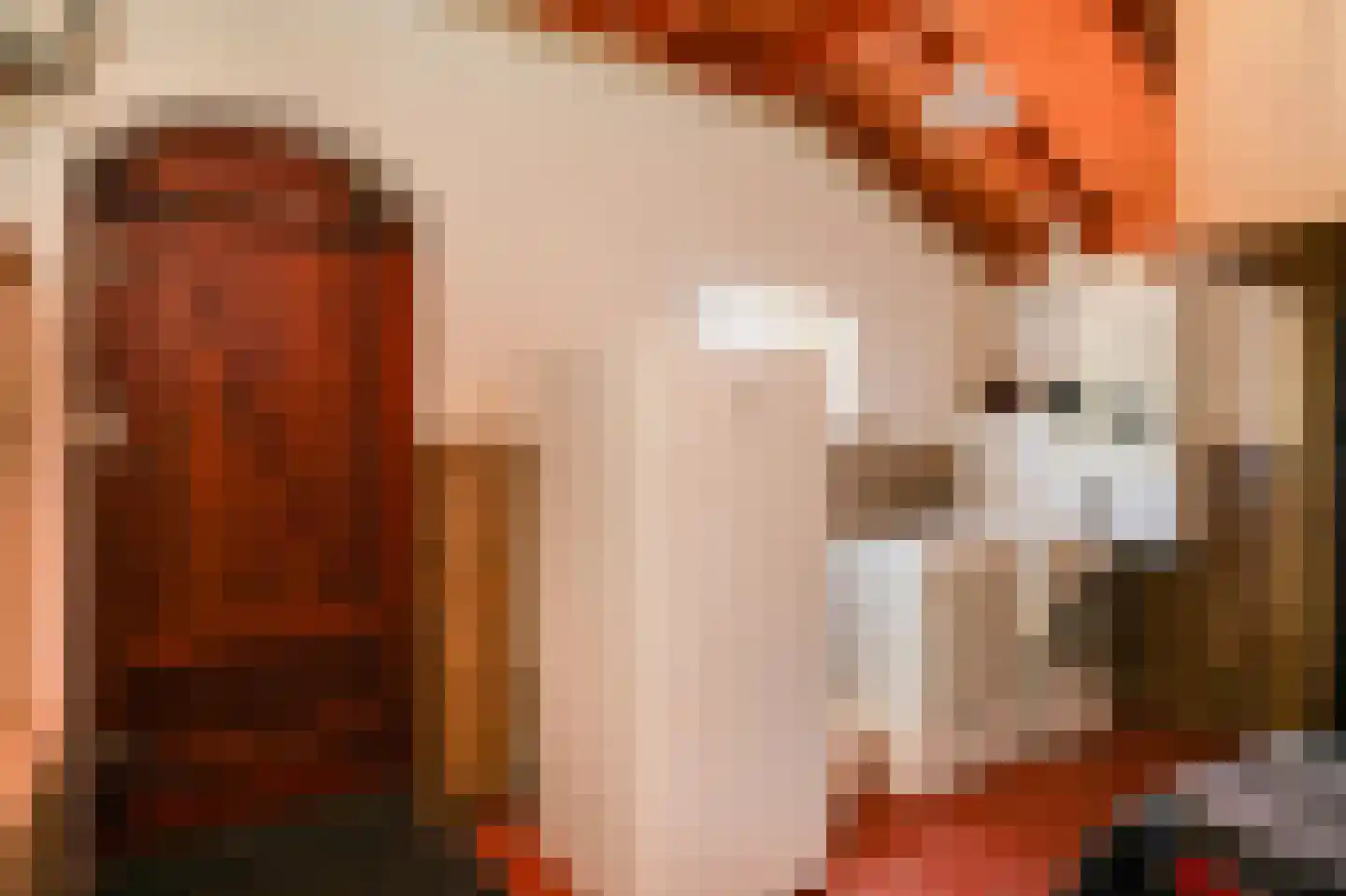 Blauwe Sluis 5 Appeltern thumbnail 19