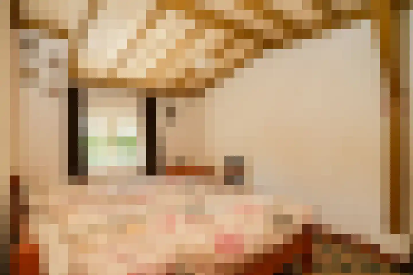 Blauwe Sluis 5 Appeltern thumbnail 24