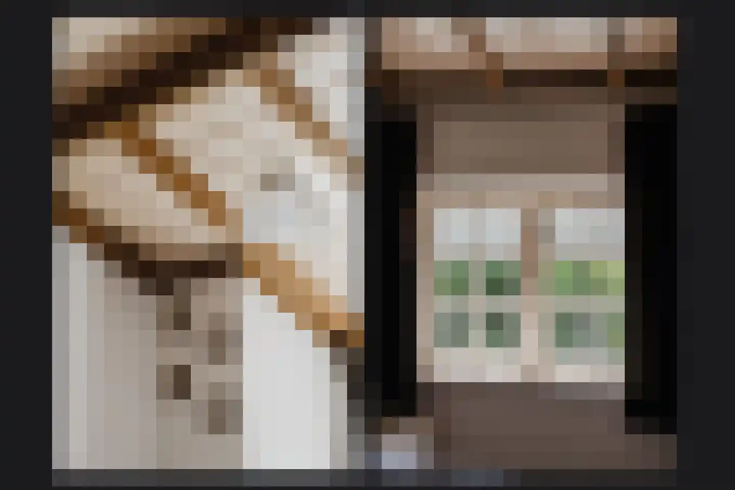 Blauwe Sluis 5 Appeltern thumbnail 25