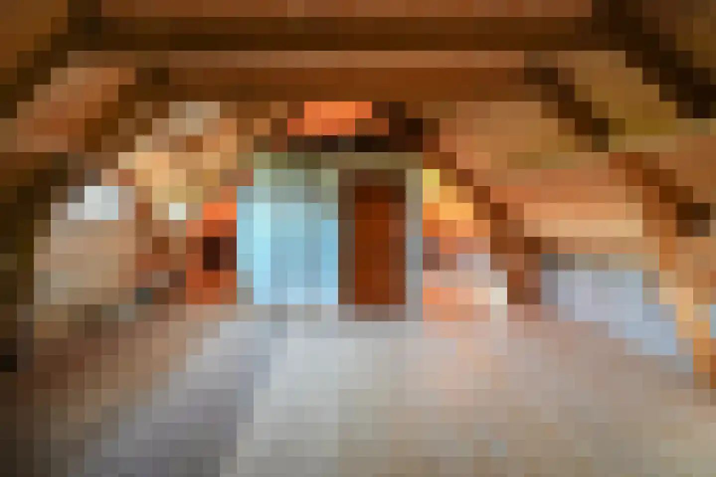 Blauwe Sluis 5 Appeltern thumbnail 31