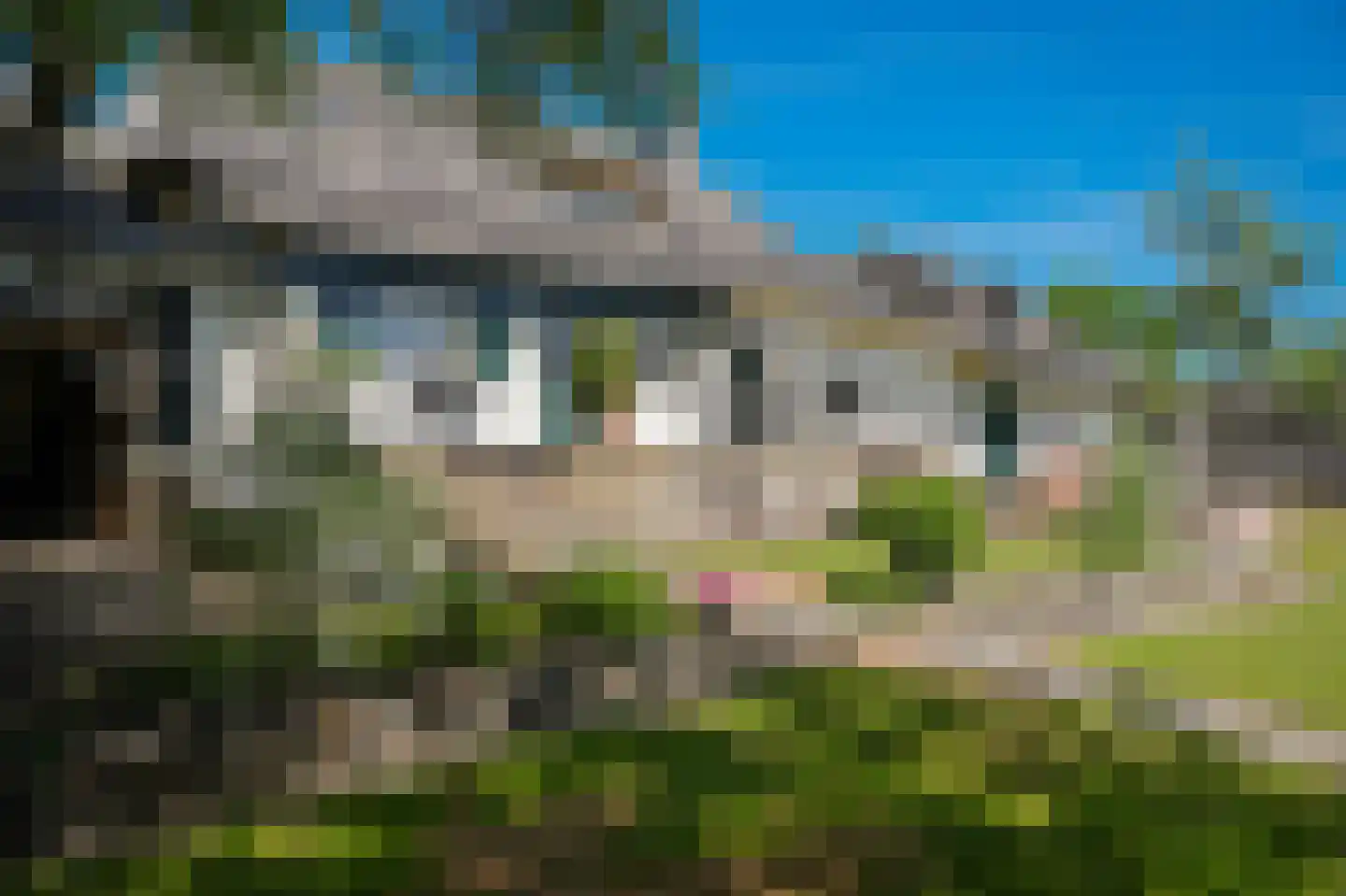 Blauwe Sluis 5 Appeltern thumbnail 35