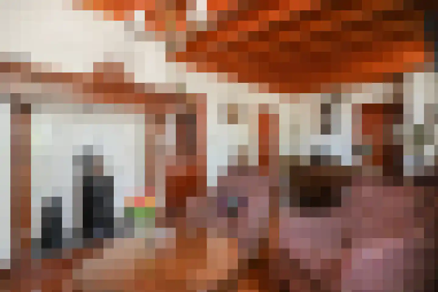 Blauwe Sluis 5 Appeltern thumbnail 6