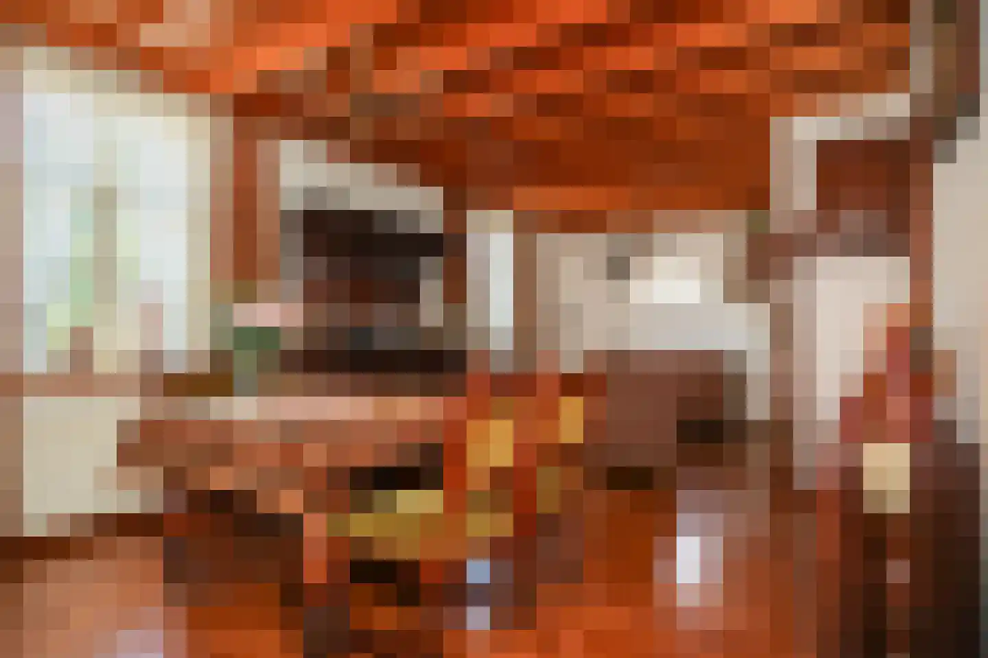 Blauwe Sluis 5 Appeltern thumbnail 7