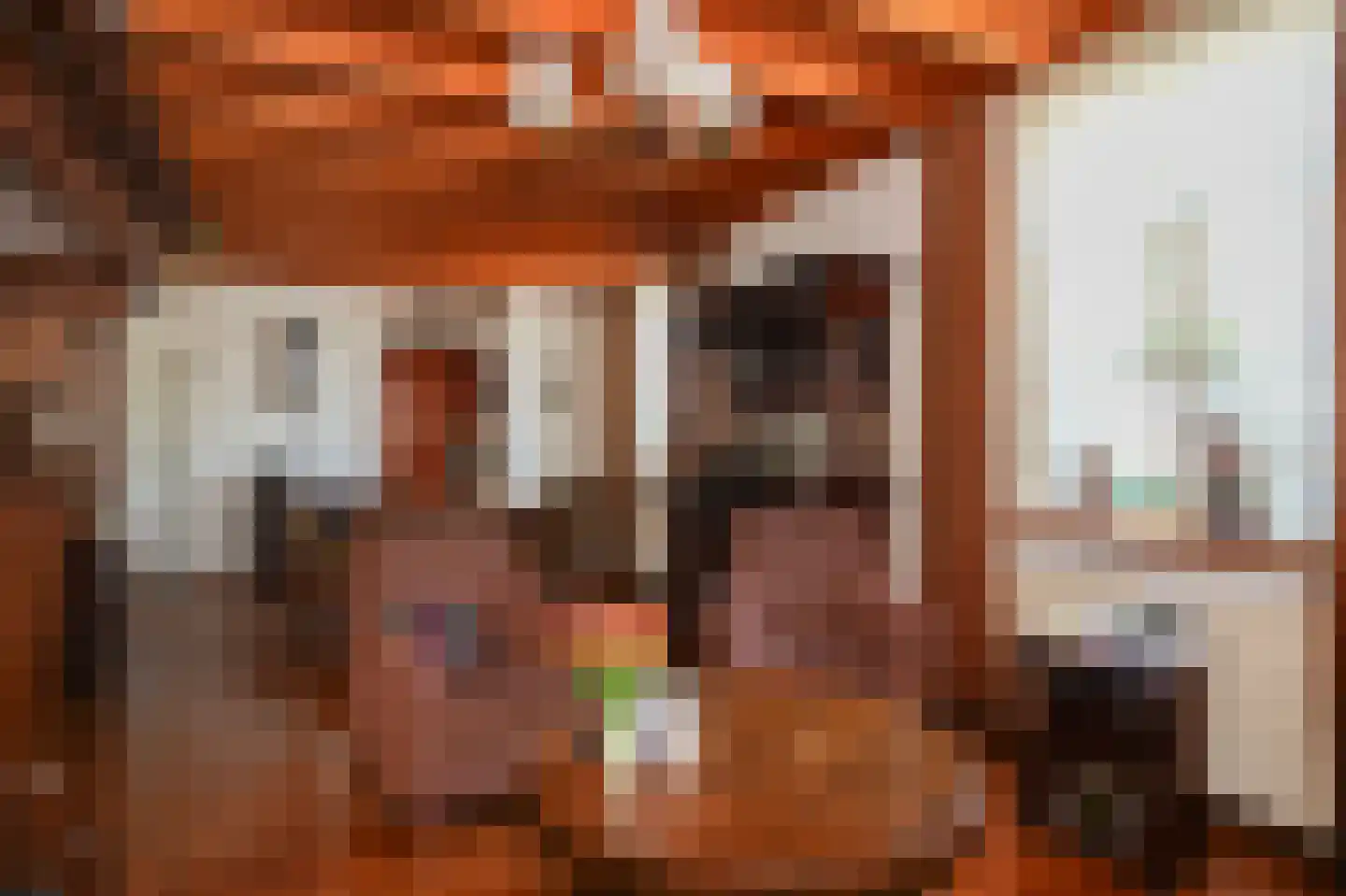 Blauwe Sluis 5 Appeltern thumbnail 8