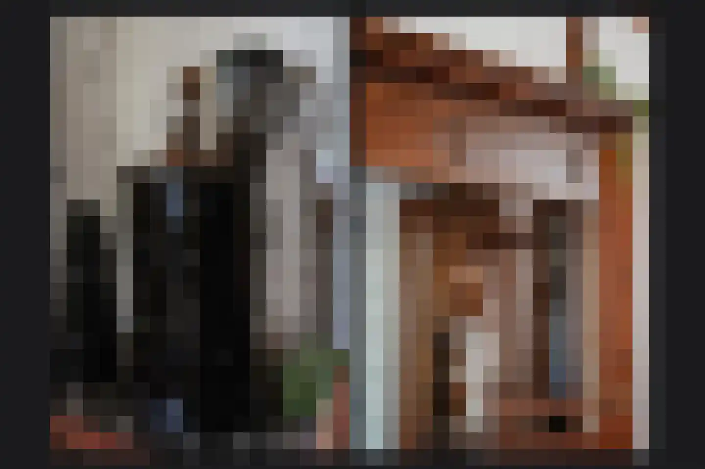 Blauwe Sluis 5 Appeltern thumbnail 9