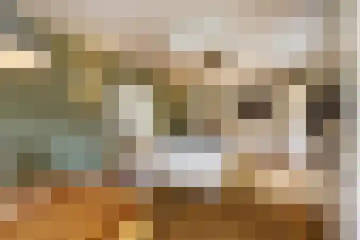 Blauwe Sluis 6 a Appeltern thumbnail 20