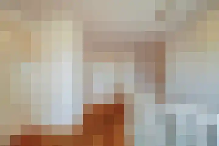 Blauwe Sluis 6 a Appeltern thumbnail 39