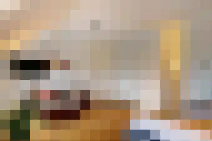 Blauwe Sluis 6 a Appeltern thumbnail 42