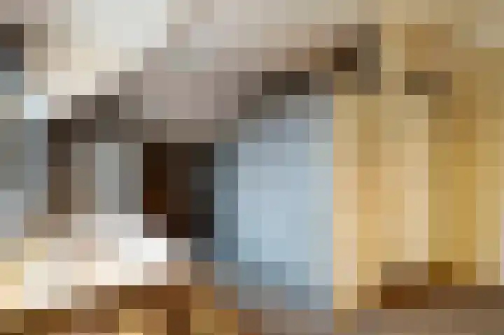 Blauwe Sluis 6 a Appeltern thumbnail 47