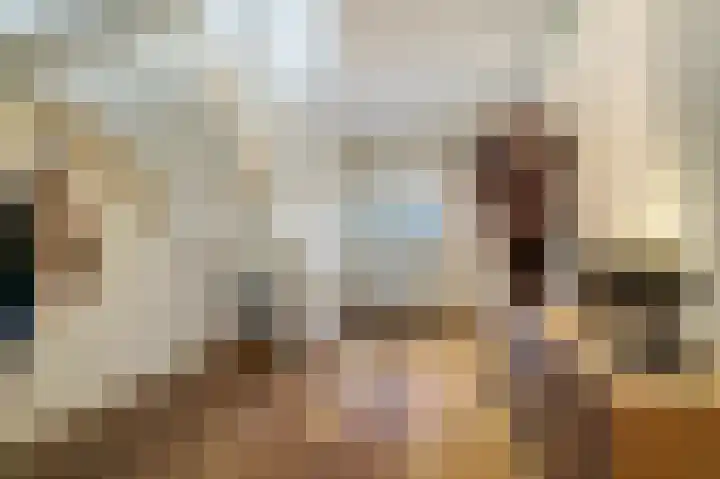 Blauwe Sluis 6 a Appeltern thumbnail 5