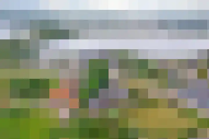 Blauwe Sluis 6 a Appeltern thumbnail 56