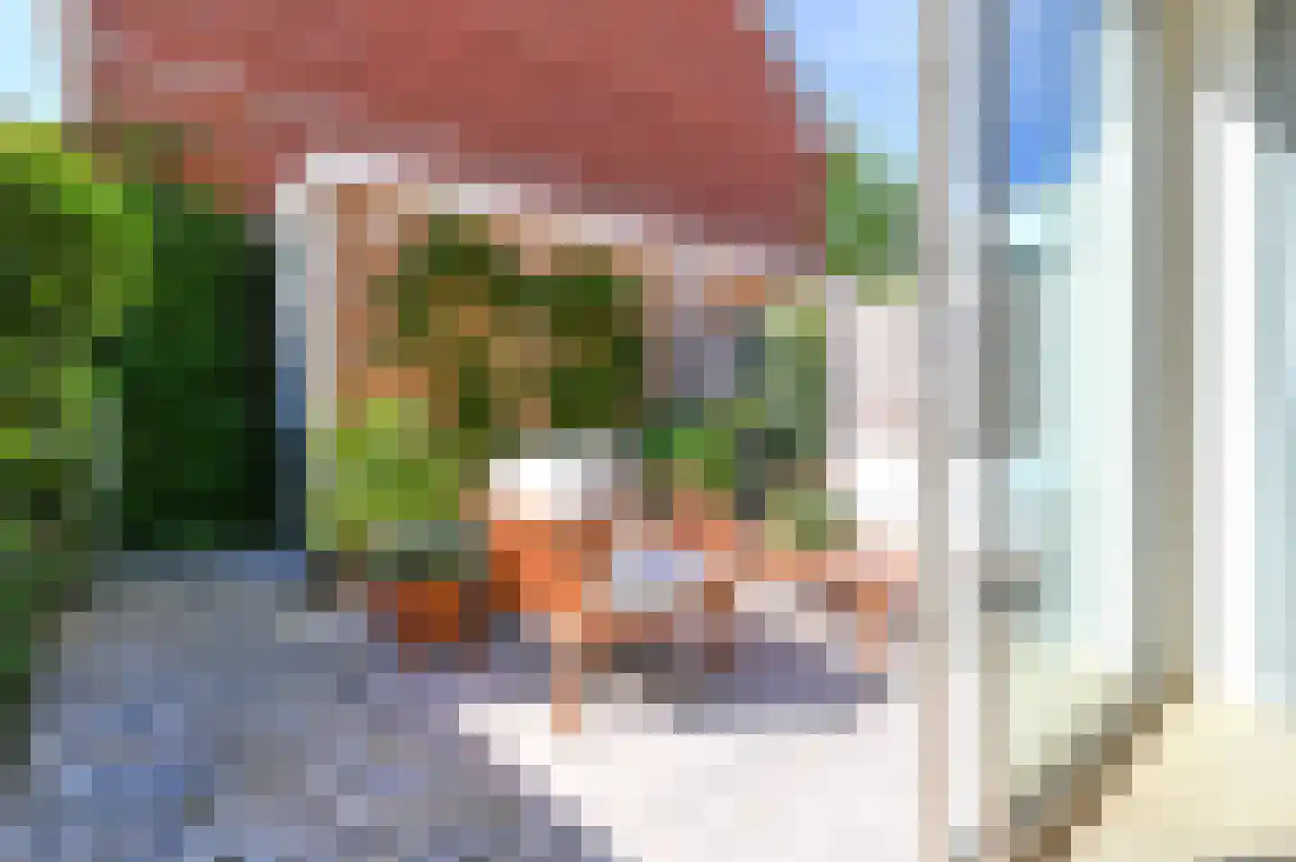 Blauwe Tramstraat 38 Haarlem thumbnail 35