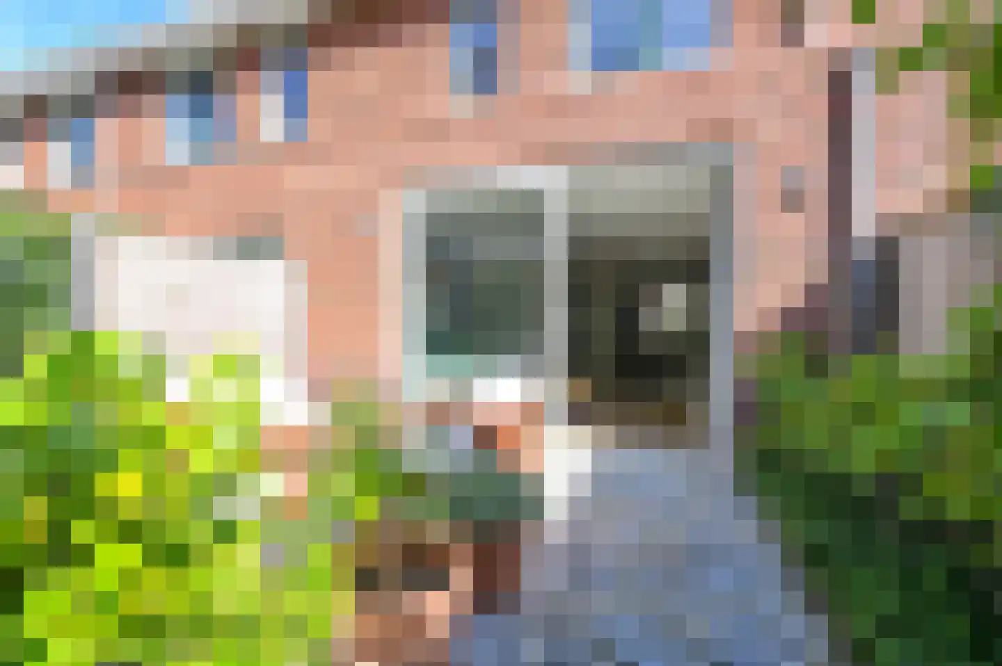 Blauwe Tramstraat 38 Haarlem thumbnail 37