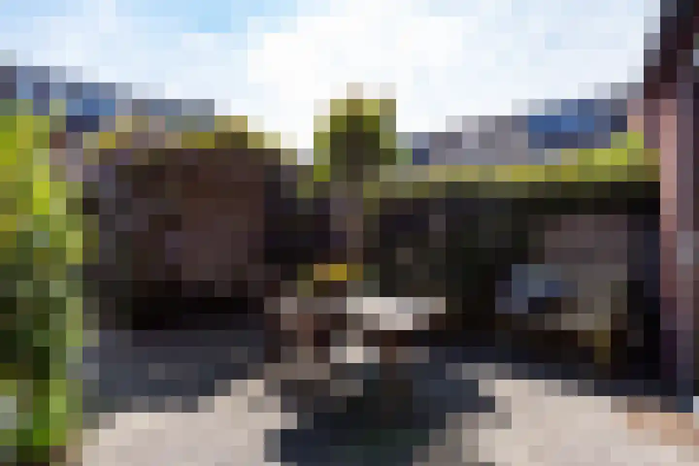 Blauwe Tramstraat 41 Haarlem thumbnail 20