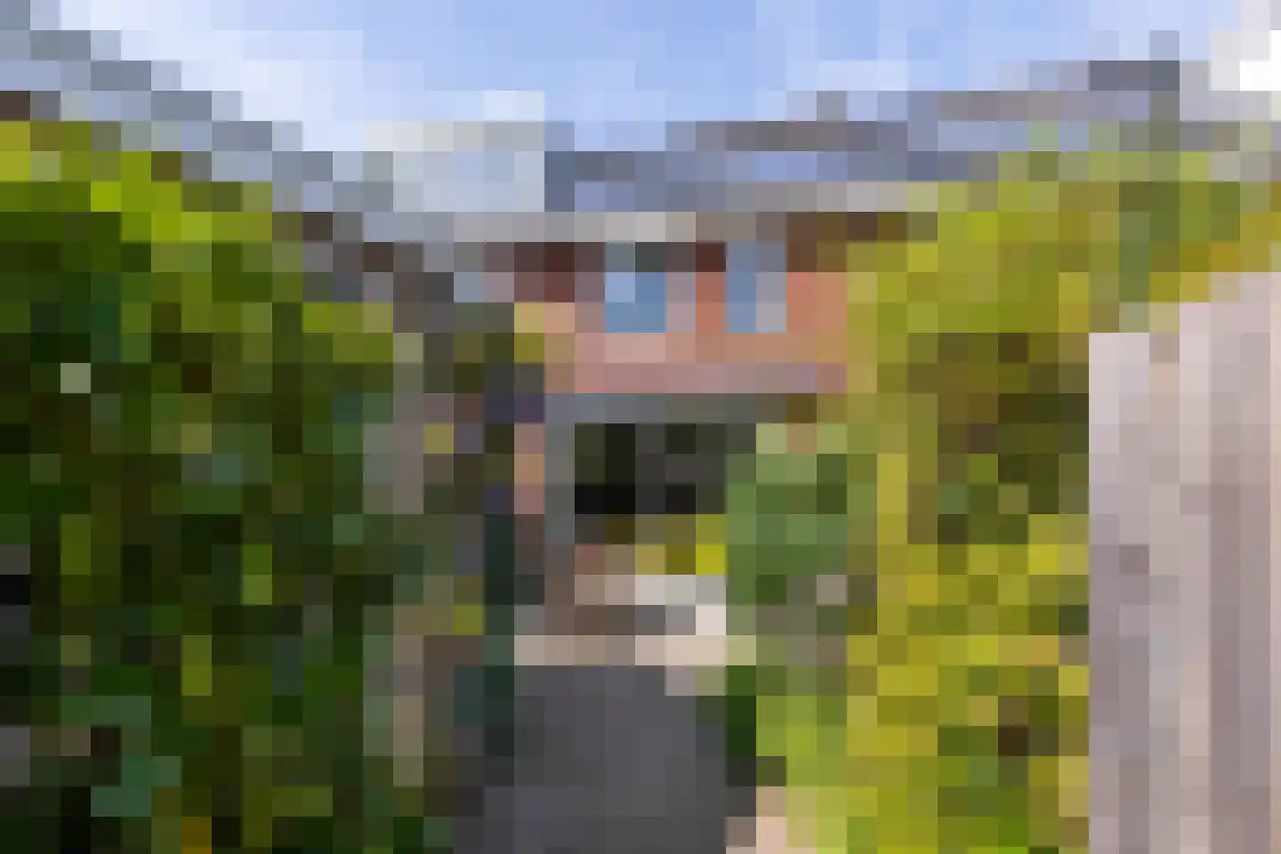 Blauwe Tramstraat 41 Haarlem thumbnail 22